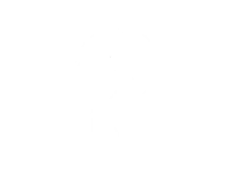 Fair Labour Standards